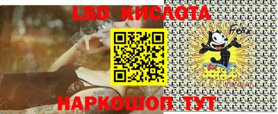 гидра Дмитров