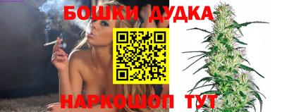 гидра Дмитров